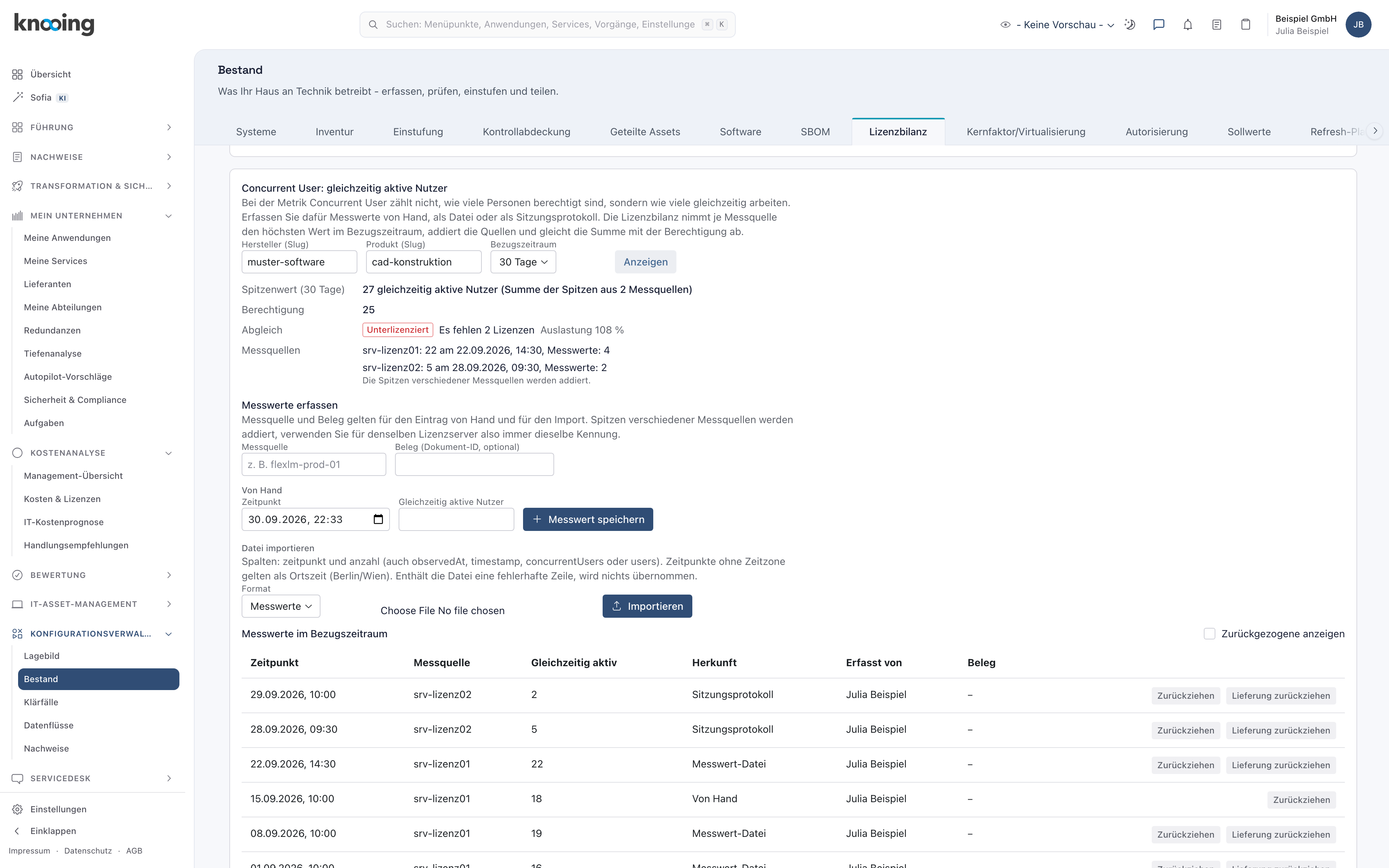 Abschnitt Concurrent User mit Bezugszeitraum 30 Tage, summiertem Spitzenwert und Abgleich