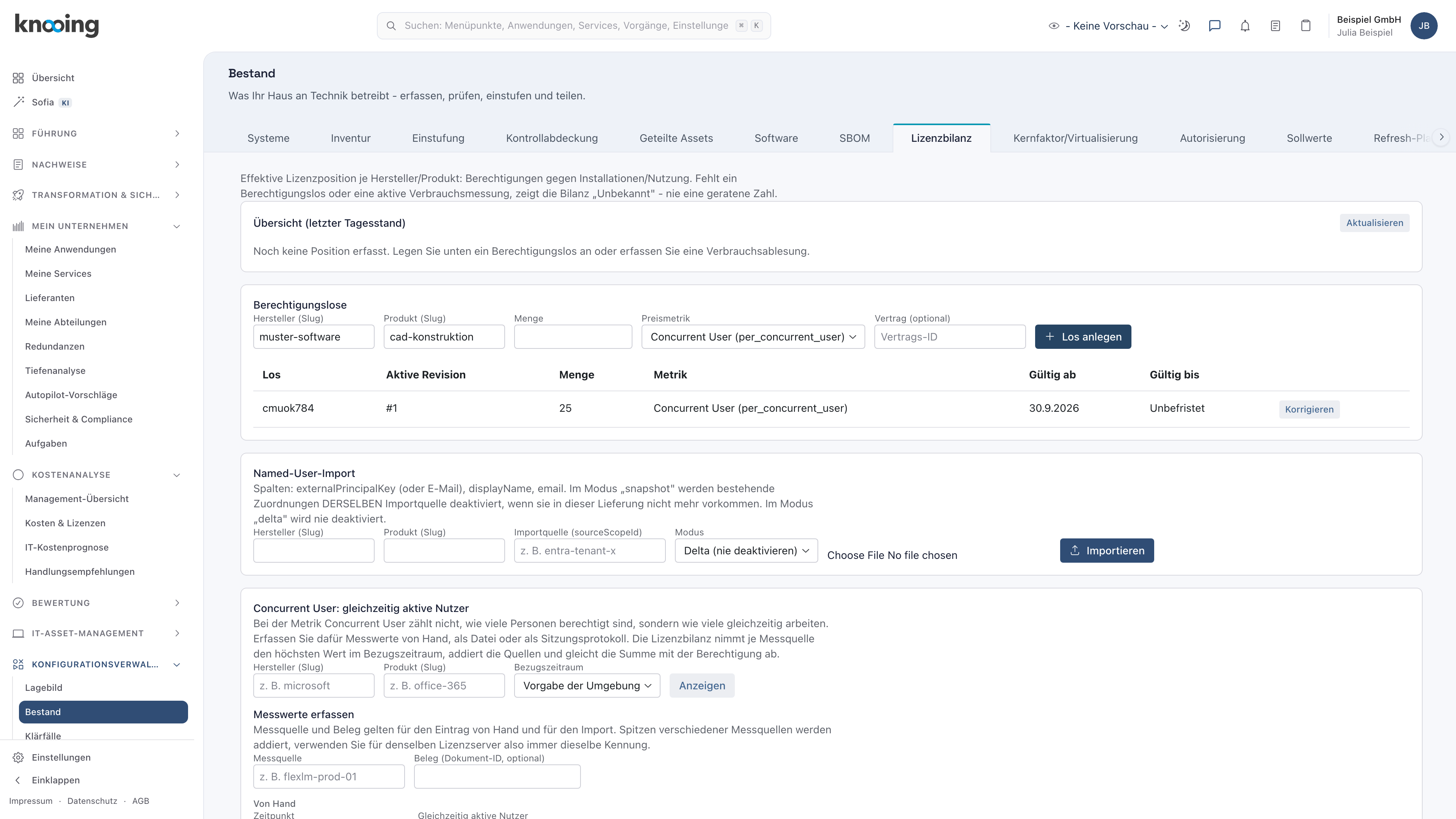 Abschnitt Berechtigungslose mit ausgefülltem Formular und dem neuen Los mit der Metrik Concurrent User