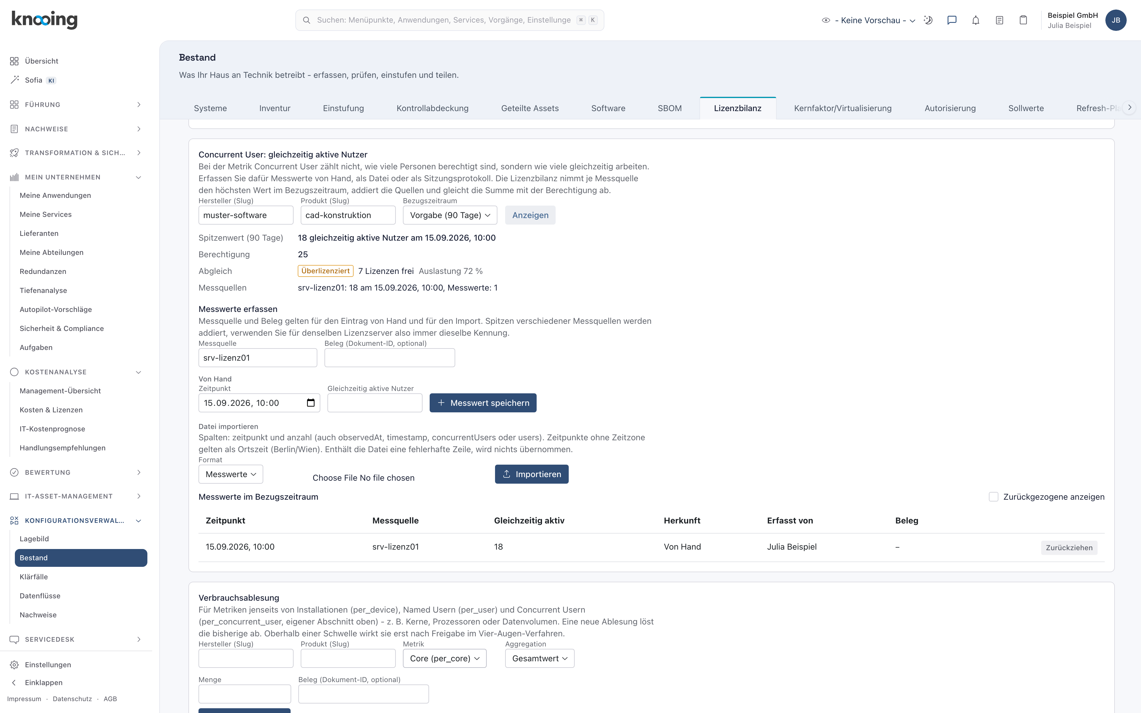Abschnitt Concurrent User mit Spitzenwert, Berechtigung, Abgleich und dem gespeicherten Messwert
